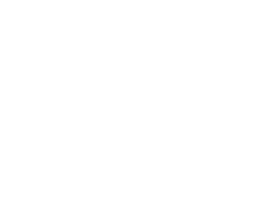 Prom Limo special offer badge